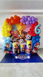 paw patrol doğum günü